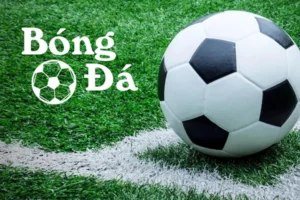 Phân Biệt Bóng Trong Cuộc Và Bóng Ngoài Cuộc Trong Mọi Tình Huống