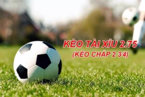 Hướng Dẫn Chi Tiết Cách Chơi Kèo 2.75 Dễ Thắng Cho Người Mới